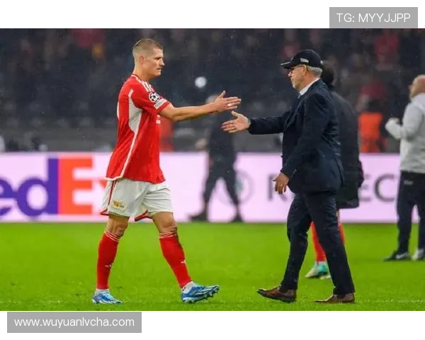 汉堡球星怒斥美因茨踢人球队风波